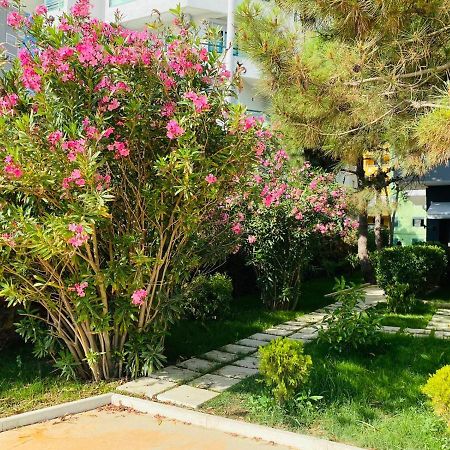 Rumar Hotel دراس المظهر الخارجي الصورة